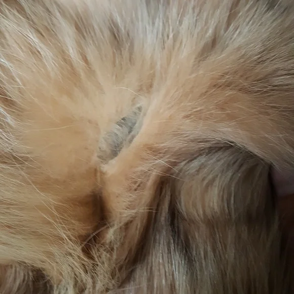 Dennis Basso Saks Fifth Aveneu Real Fox Fur Coat - Picture 5 of 5